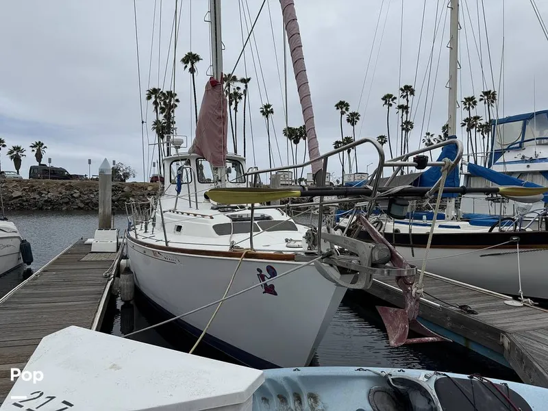 Slide: The Image of C&C Landfall 39 1986 - 15537752