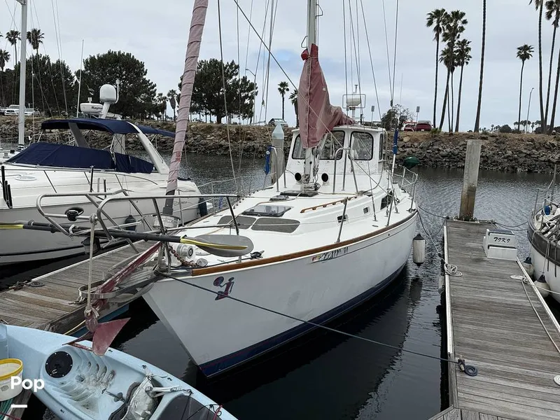 Slide: The Image of C&C Landfall 39 1986 - 15537756