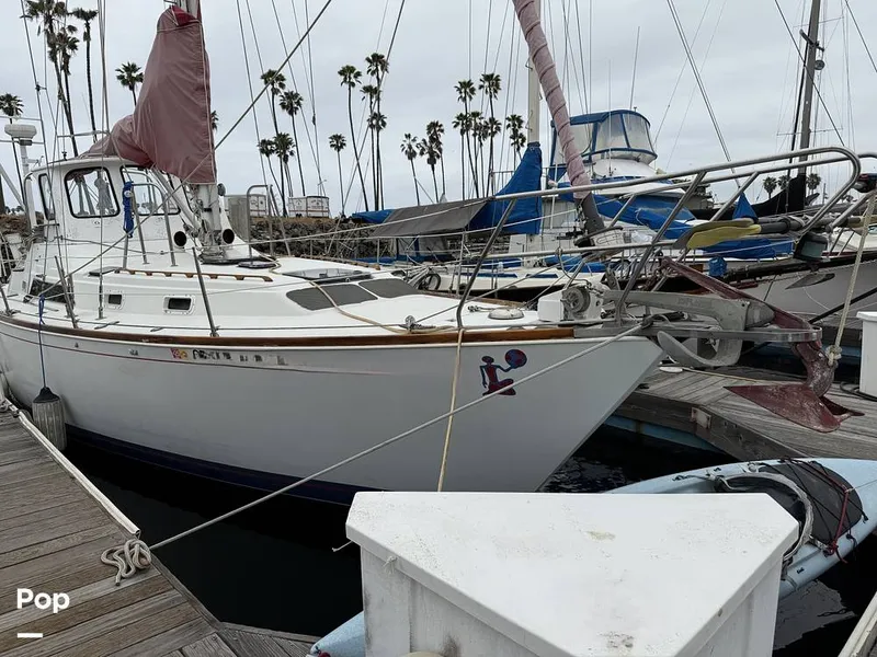 Slide: The Image of C&C Landfall 39 1986 - 15537763