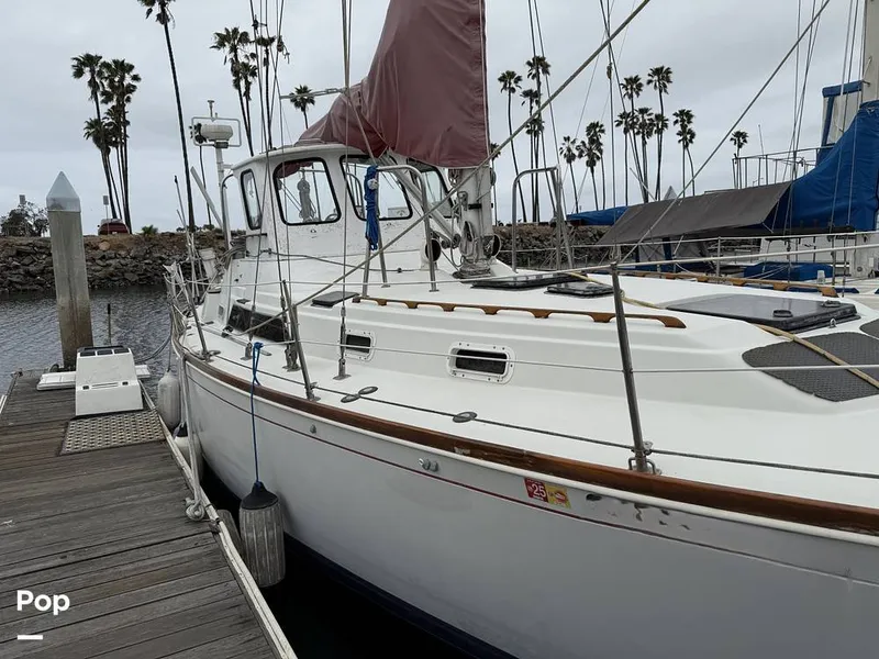 Slide: The Image of C&C Landfall 39 1986 - 15537764