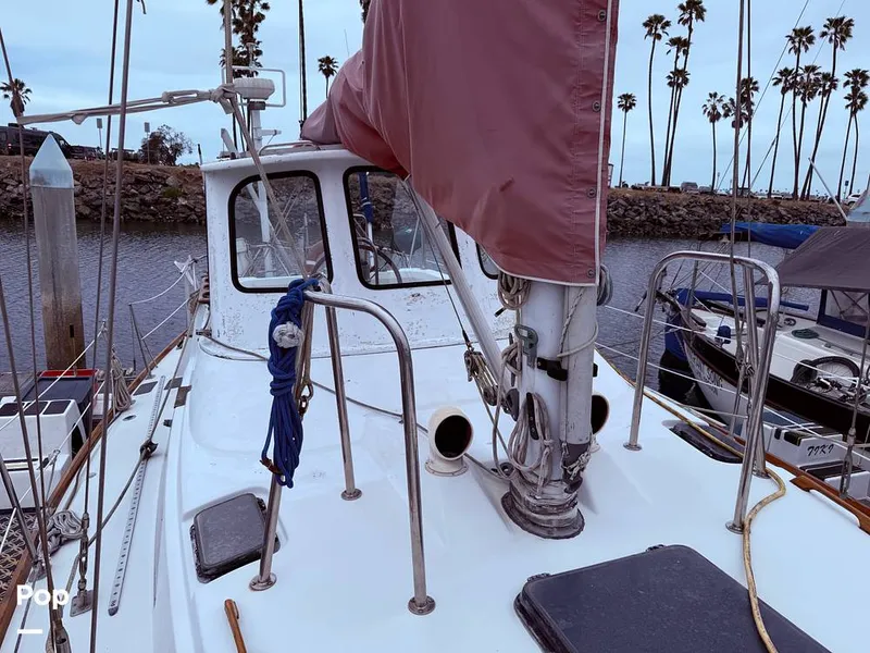 Slide: The Image of C&C Landfall 39 1986 - 15537779