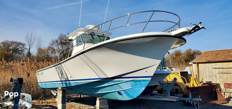 Slide: The Image of True World Good-Go TE288 2008 - 15510756