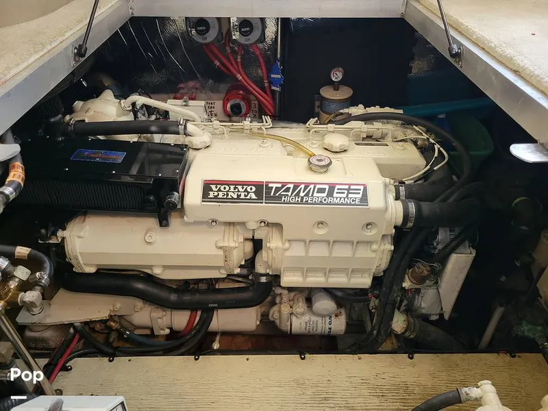 Slide: The Image of Cruisers 3650 1998 - 15652213