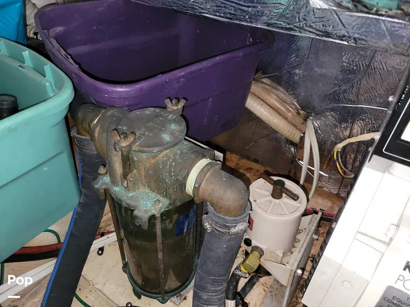 Slide: The Image of Cruisers 3650 1998 - 15652217