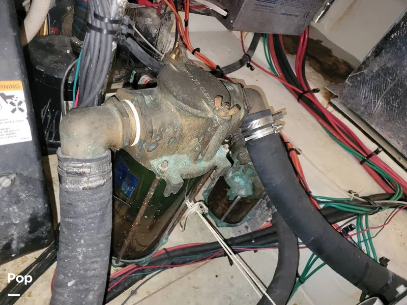 Slide: The Image of Cruisers 3650 1998 - 15652219