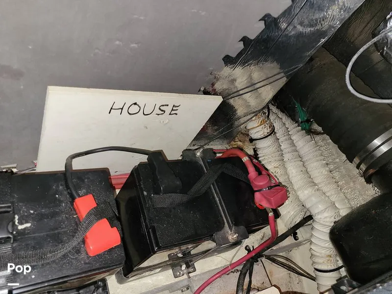 Slide: The Image of Cruisers 3650 1998 - 15652227