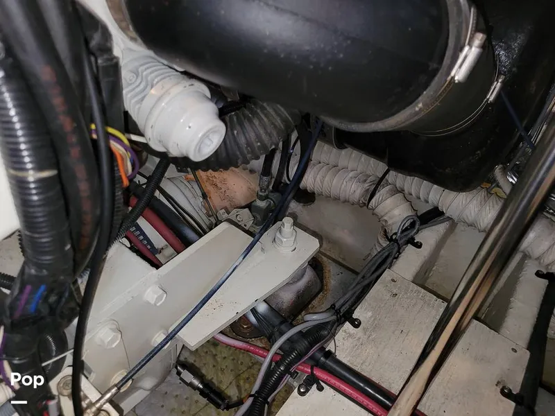 Slide: The Image of Cruisers 3650 1998 - 15652230