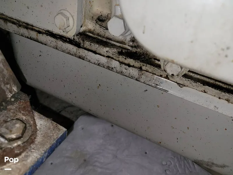 Slide: The Image of Cruisers 3650 1998 - 15652231