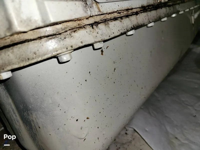 Slide: The Image of Cruisers 3650 1998 - 15652237