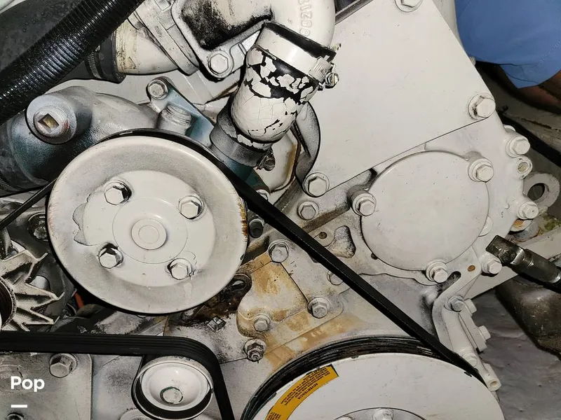 Slide: The Image of Cruisers 3650 1998 - 15652238