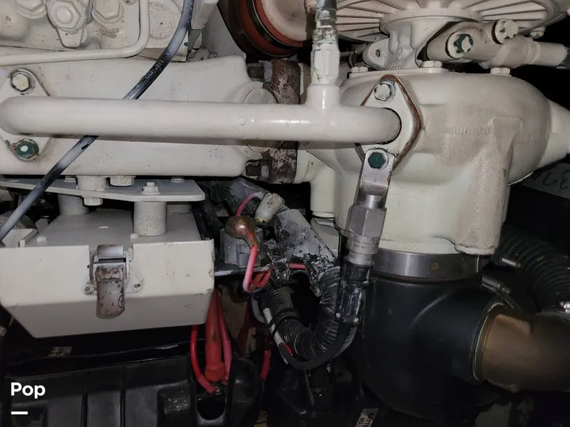 Slide: The Image of Cruisers 3650 1998 - 15652239