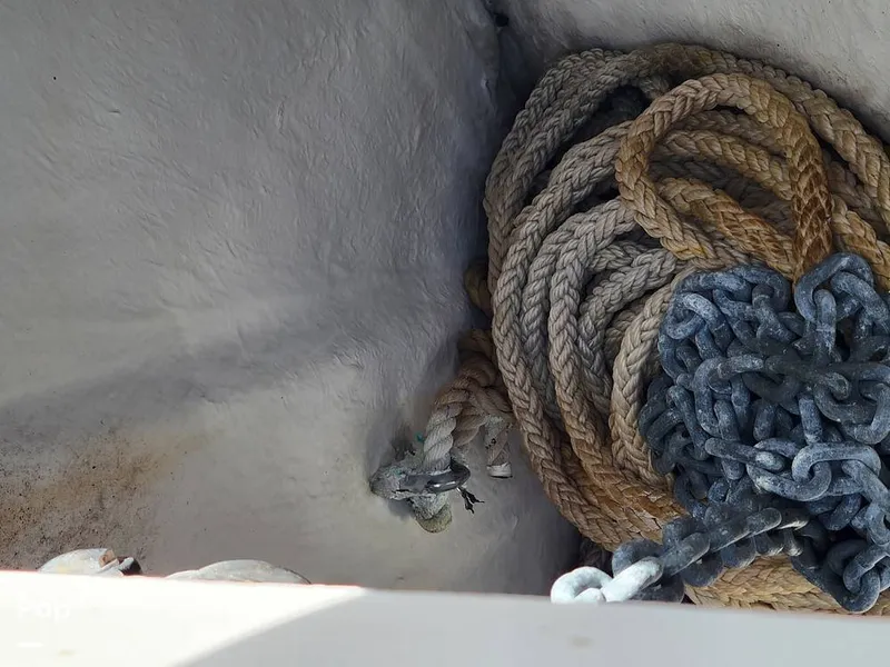 Slide: The Image of Cruisers 3650 1998 - 15652161