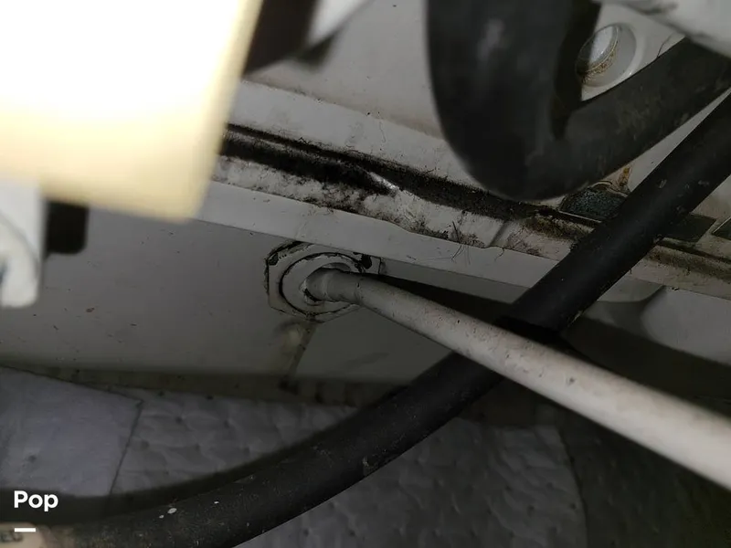 Slide: The Image of Cruisers Yachts 3650 1998 - 15652232