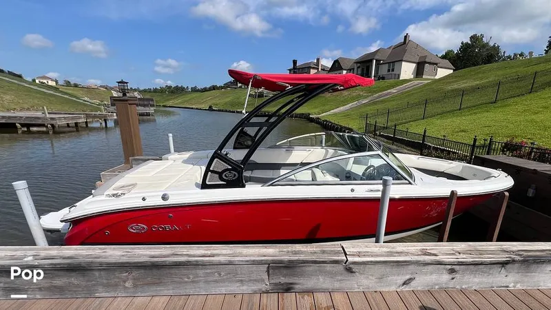 The Image of Cobalt 220S 2020 - 15489290