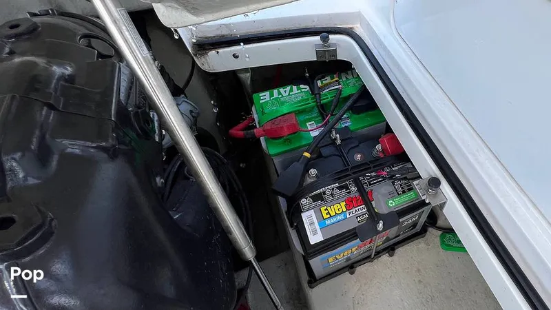 Slide: The Image of Cobalt 220S 2020 - 15489426