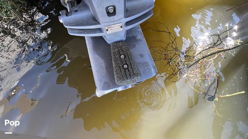 Slide: The Image of Cobalt 220S 2020 - 15489448