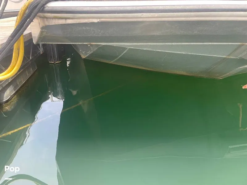 Slide: The Image of Stardust Stardust 86 1998 - 15508127