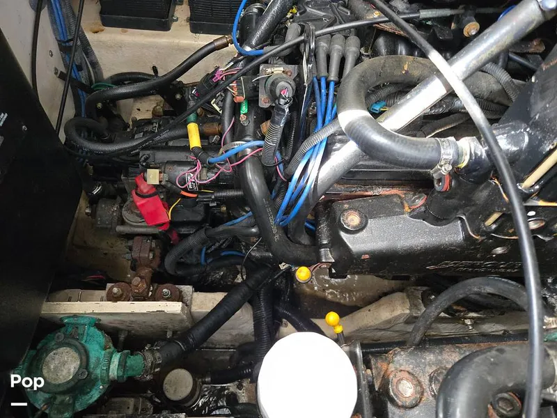 Slide: The Image of Sea Ray 320 Sundancer 2006 - 15581475