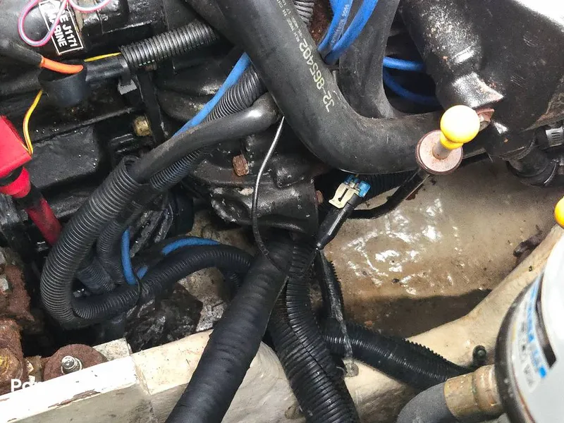 Slide: The Image of Sea Ray 320 Sundancer 2006 - 15581479