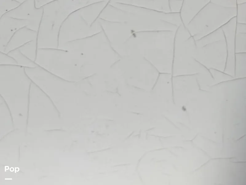 Slide: The Image of Hunter 40.5 Legend 1996 - 15556827