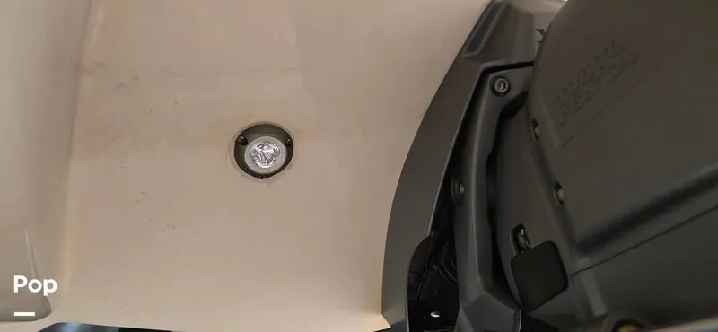 Slide: The Image of Stingray 215LR 2015 - 15518571