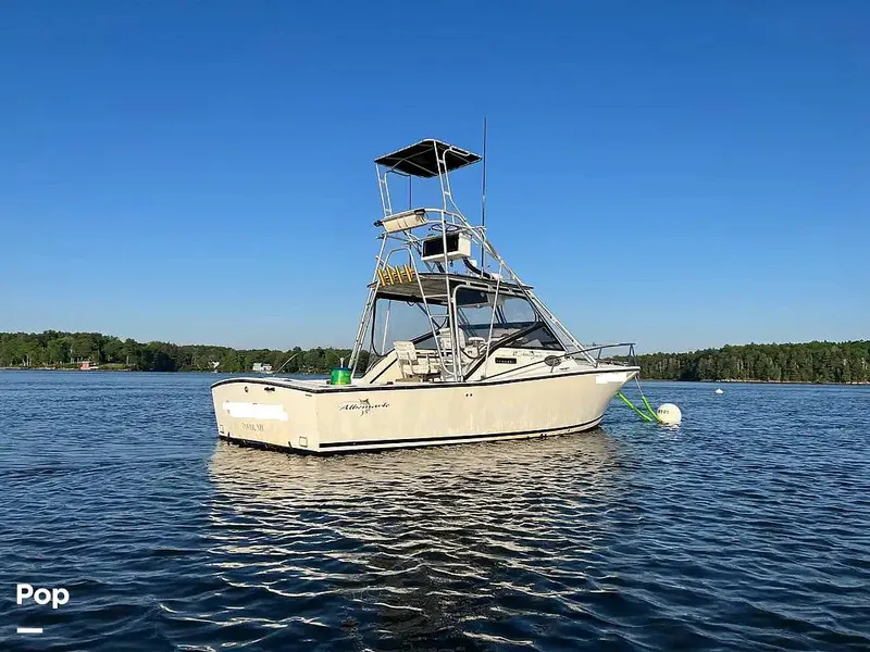 Slide: The Image of Albemarle 27 1991 - 15549758