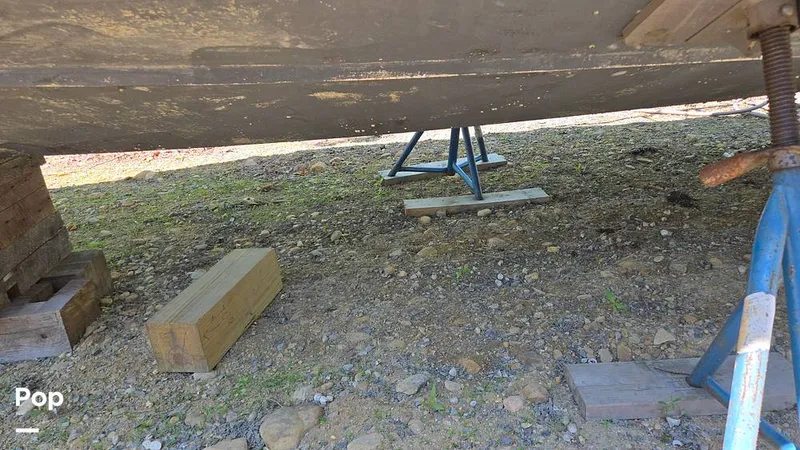 Slide: The Image of Albemarle 27 1991 - 15524833