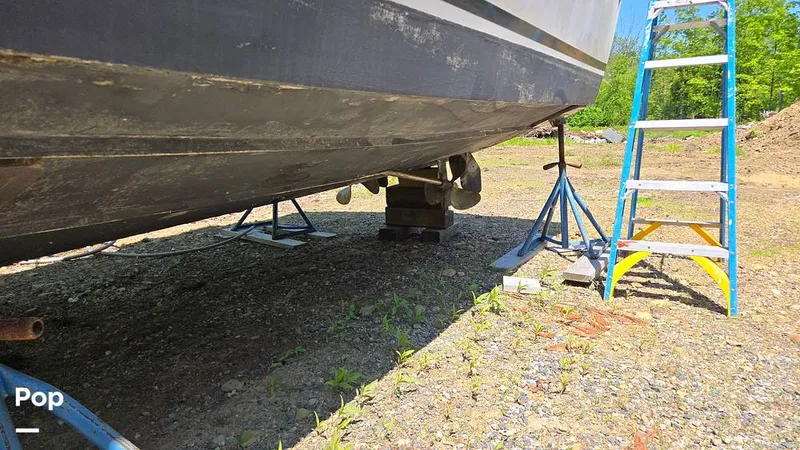 Slide: The Image of Albemarle 27 1991 - 15524835