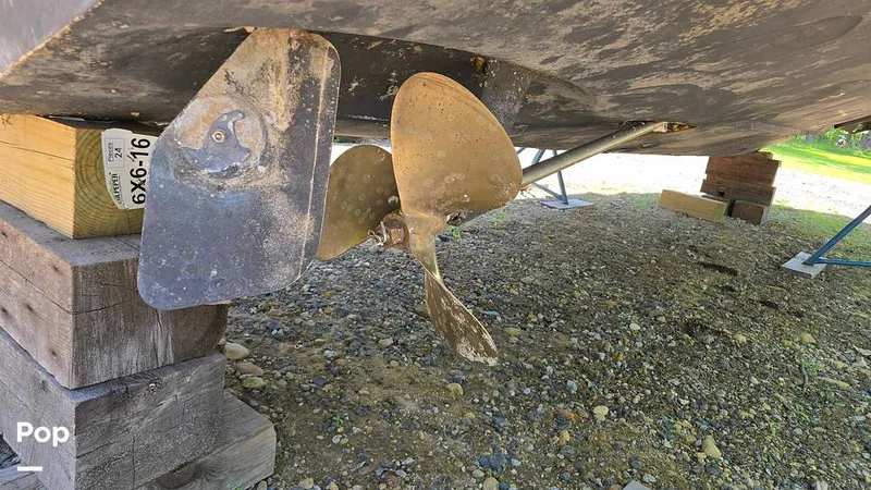 Slide: The Image of Albemarle 27 1991 - 15524842