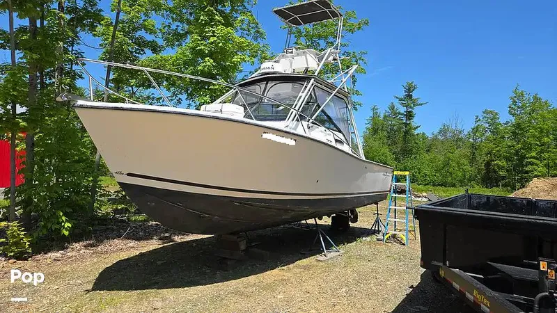 Slide: The Image of Albemarle 27 1991 - 15549761