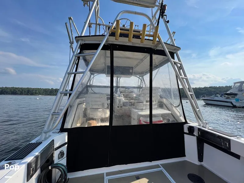 Slide: The Image of Albemarle 27 1991 - 15491216