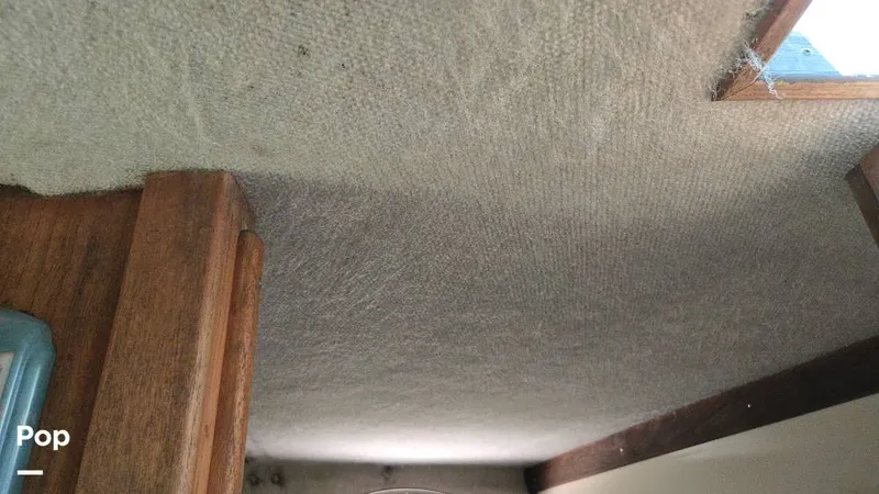 Slide: The Image of Albemarle 27 1991 - 15524909