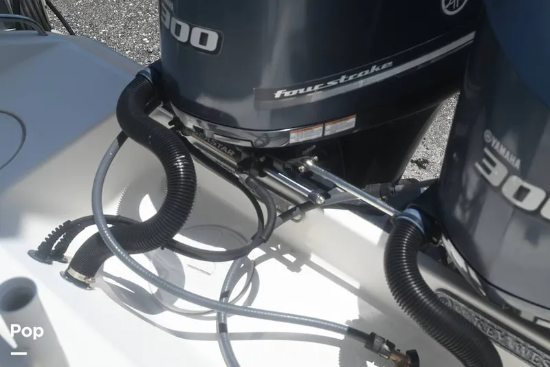 Slide: The Image of Key West 281 Billistic 2019 - 15559684