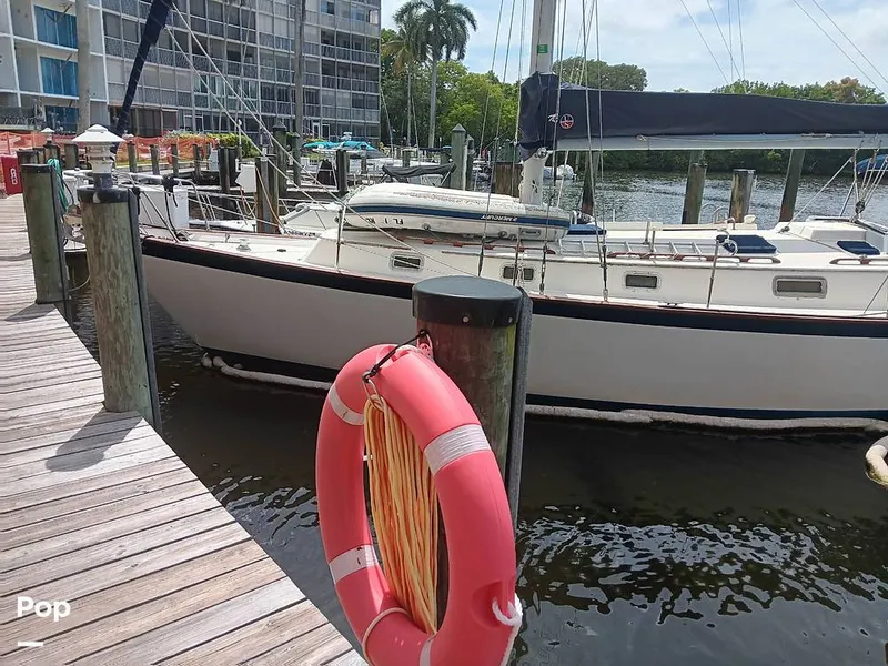 Slide: The Image of Pearson 424 Sloop 1981 - 15701433