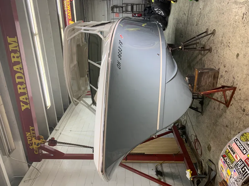 Slide: The Image of Sailfish 245 DC 2017 - 4