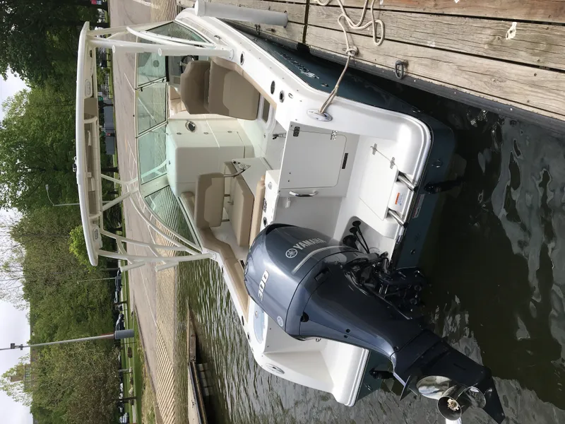 Slide: The Image of Sailfish 245 DC 2017 - 8