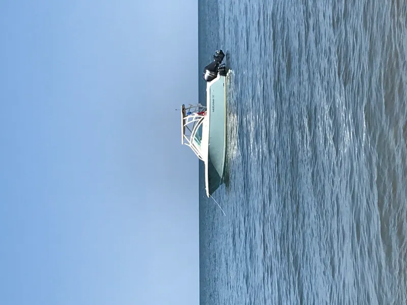 Slide: The Image of Sailfish 245 DC 2017 - 9