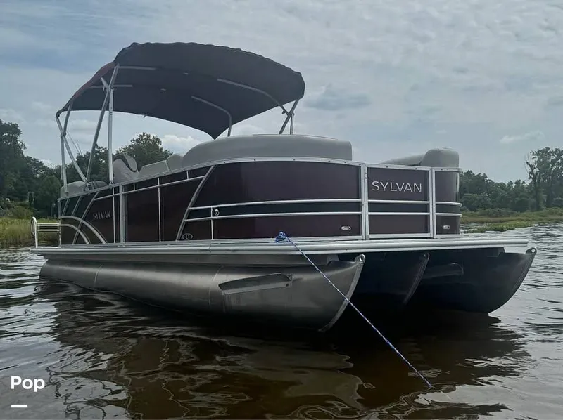 The Image of Sylvan L3 LZ 2021 - 15754362