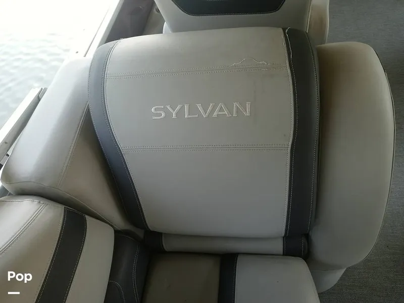 Slide: The Image of Sylvan L3 LZ 2021 - 15752224