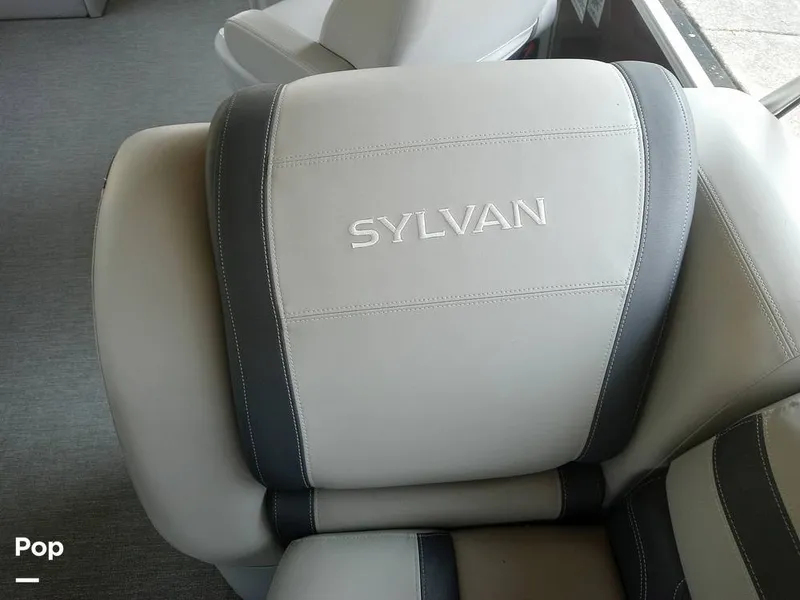 Slide: The Image of Sylvan L3 LZ 2021 - 15752231