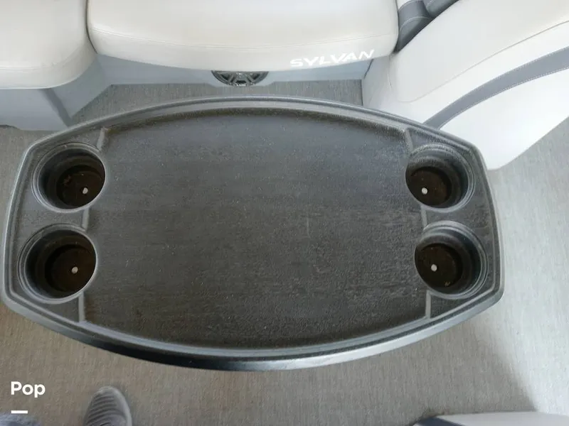 Slide: The Image of Sylvan L3 LZ 2021 - 15752232