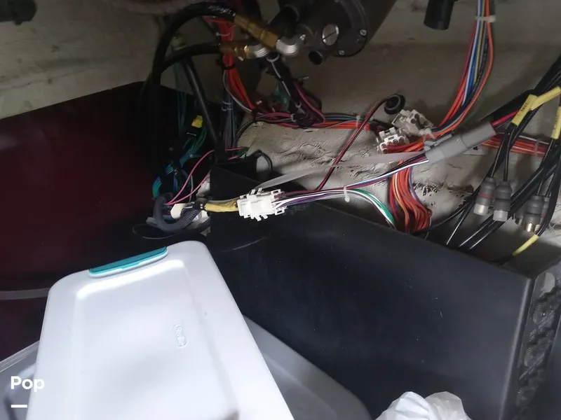 Slide: The Image of Sylvan L3 LZ 2021 - 15752276