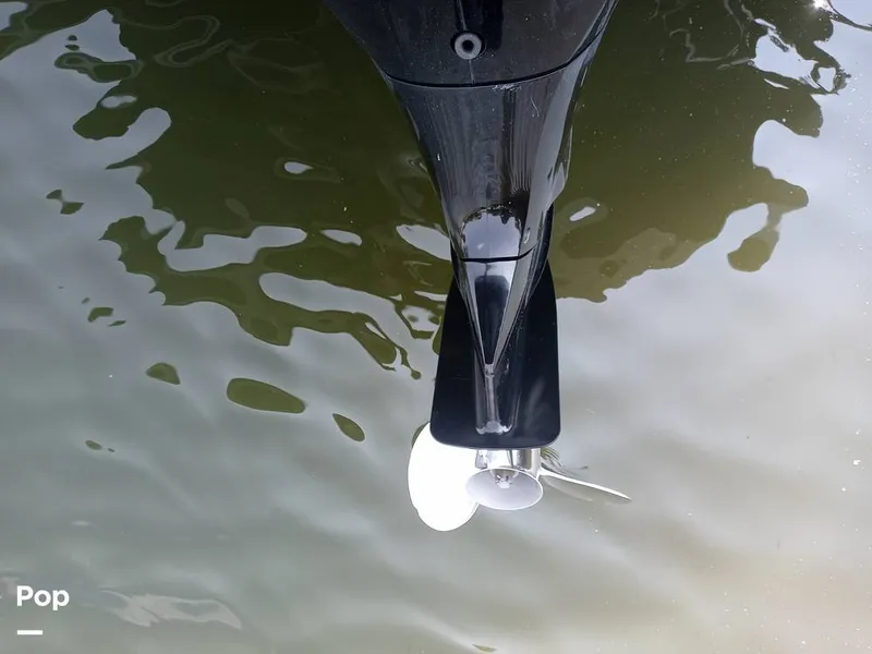 Slide: The Image of Sylvan L3 LZ 2021 - 15752285