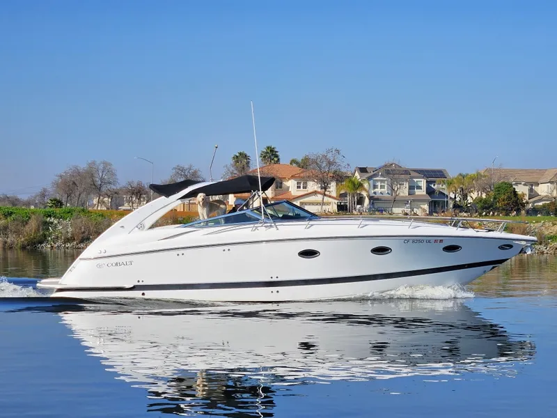 The Image of Cobalt 360 2005 - 0