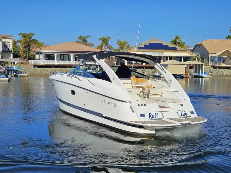 Slide: The Image of Cobalt 360 2005 - 1