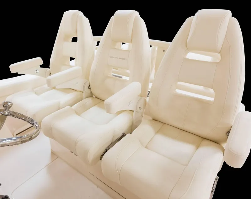 Slide: The Image of Grady-White Canyon 336 2026 - 10