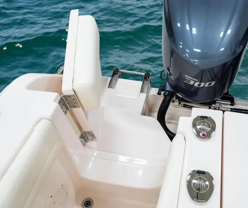 Slide: The Image of Grady-White Canyon 336 2026 - 21