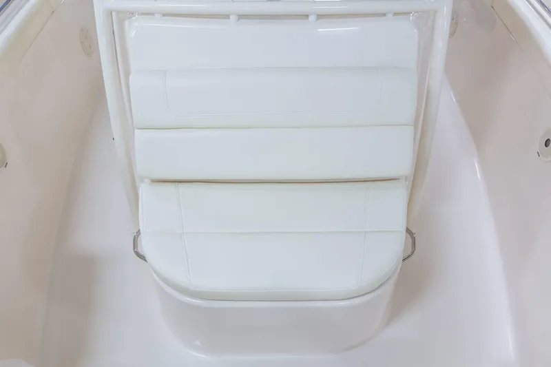 Slide: The Image of Grady-White Canyon 336 2026 - 9