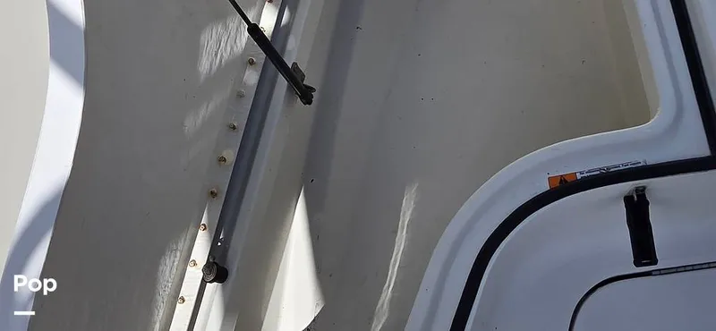 Slide: The Image of Hydra-Sports Vector 2796 2000 - 16279493