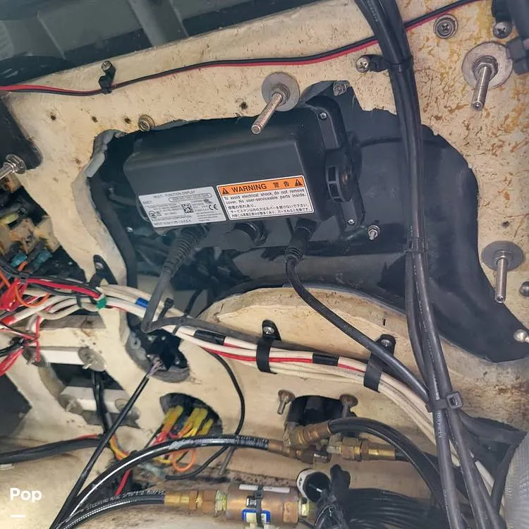 Slide: The Image of Hydra-Sports Vector 2796 2000 - 15643961